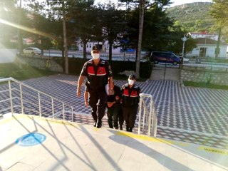 Ormanlık alanı esrar tarlasına çeviren şahsı jandarma yakaladı