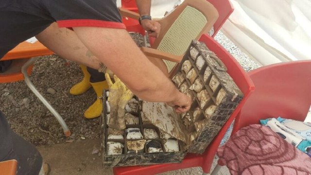 Bozkurt’ta enkazdan bir çanta dolusu ziynet çıktı