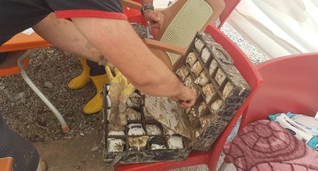 Bozkurt’ta enkazdan bir çanta dolusu ziynet çıktı