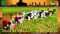 कृषि मंत्री (Agriculture Minister) नरेंद्र सिंह तौमर (Narendra Singh Tomar) का दावा, 2022 में होगी किसानों की आय दोगुनी (Farmers Income) | Kisan Bulletin | GreenTV