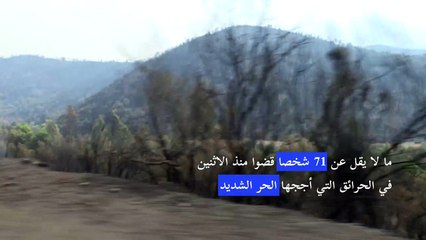 غالبية الحرائق تحت السيطرة في الجزائر