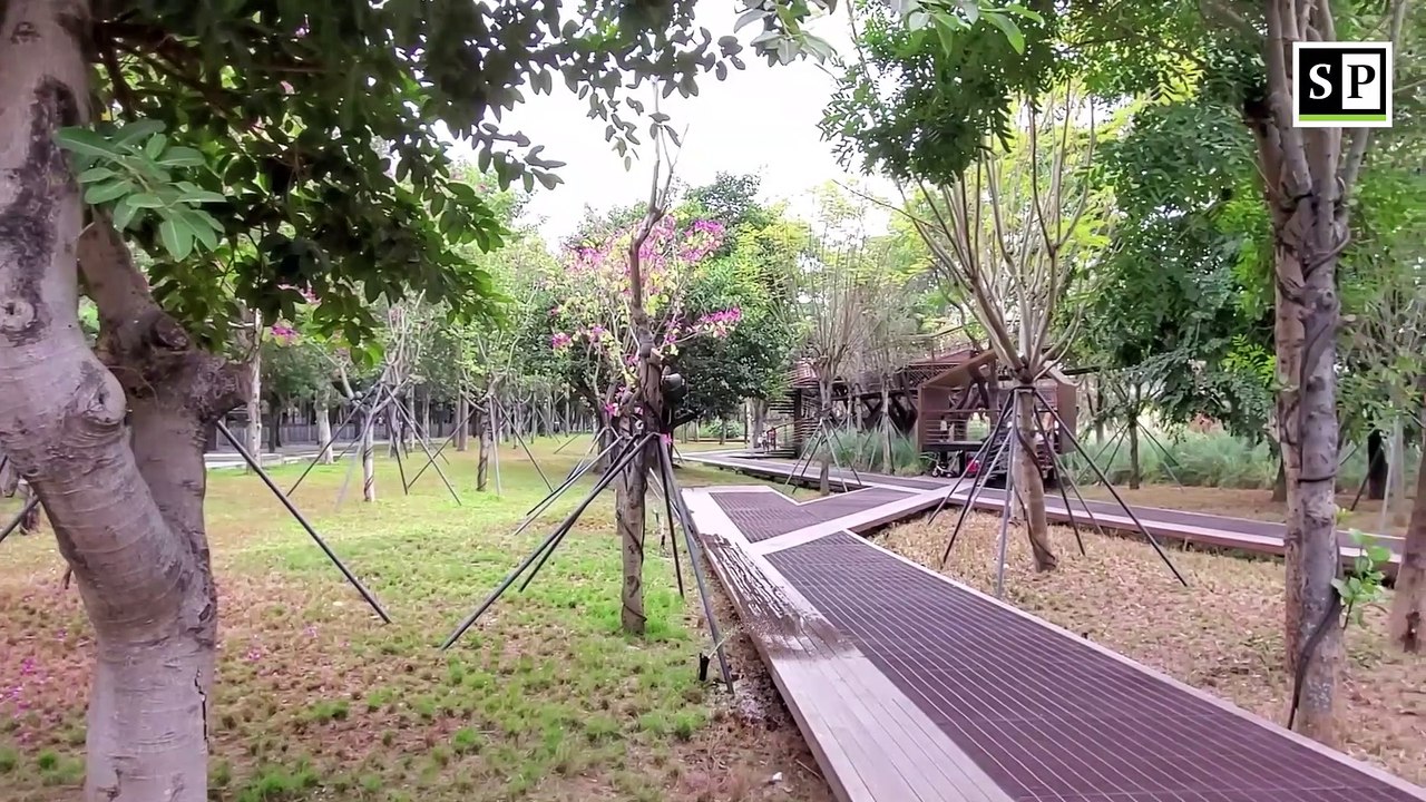 Dasha River Ecological Corridor in Shenzhen