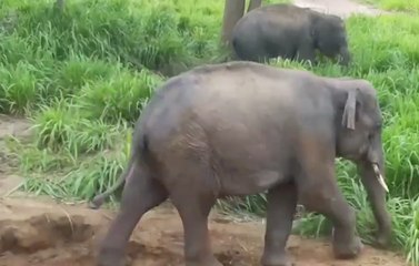 ข่าวค่ำ ช่วงที่ 1 วันเสาร์ที่ 14 ส.ค.64