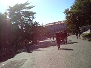 descente du campus de Berkeley