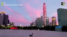 Beautiful sunset sky in Shenzhen CBD