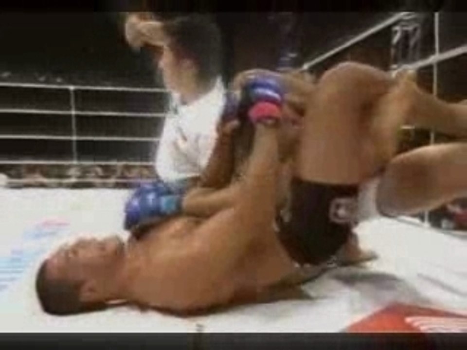 Nogueira
