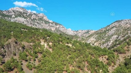 KAHRAMANMARAŞ - Yangın söndürme uçağı düştüğü bölge havadan görüntülendi