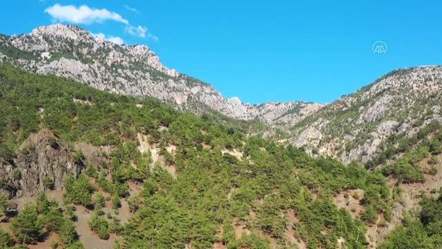 KAHRAMANMARAŞ - Yangın söndürme uçağı düştüğü bölge havadan görüntülendi