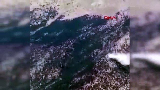 Lezuhant egy orosz tűzoltó repülőgép Törökország déli részén