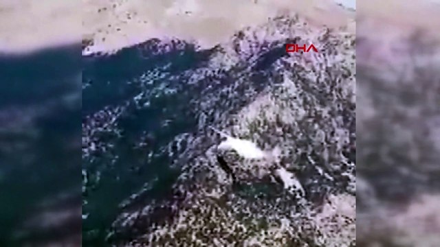 Российский самолёт-амфибия разбился в Турции при тушении пожаров