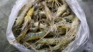 Chingri fry recipe || Prawn fry recipe