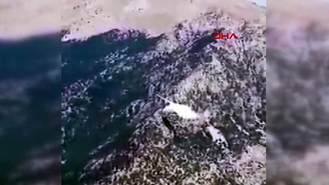 Turquie : huit morts dans le crash d'un un avion bombardier d'eau russe