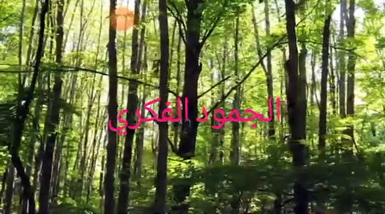 نقي قلبك القرآن التحجر والجمود والوقوف عند النقل والتقليد