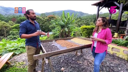 La Cocina del Cinco - Carlota de Café, Cata Sensorial , Ensalada de Res con Vinagre