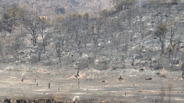 Burning wasteland in aftermath of Algeria wildfires