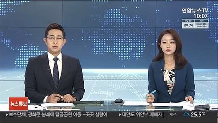 램지어 "일본군, 매춘부 납치할 필요 없었다"