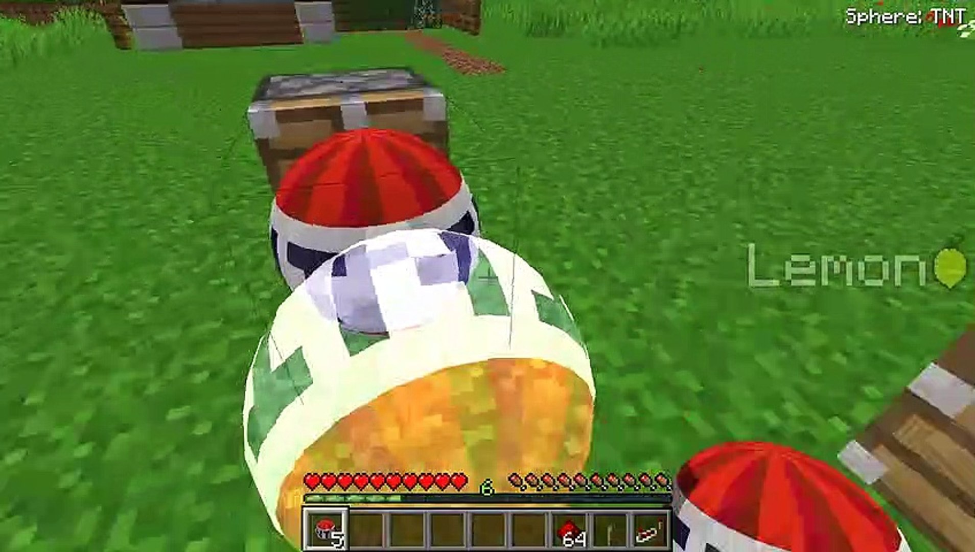 Minecraft Pictures Of Everything