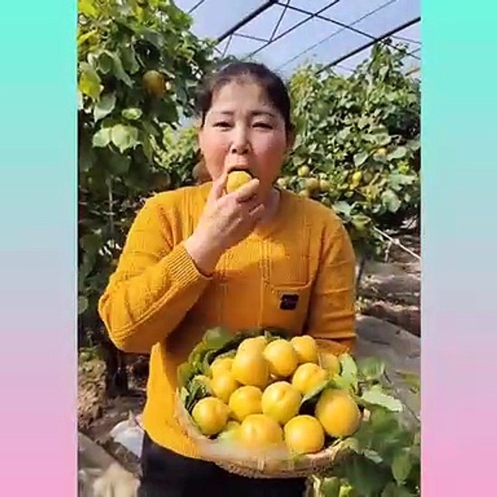 Unbelievable Things