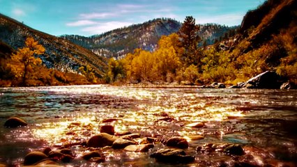 Relaxation and Meditation music for sleep stress and anxiety