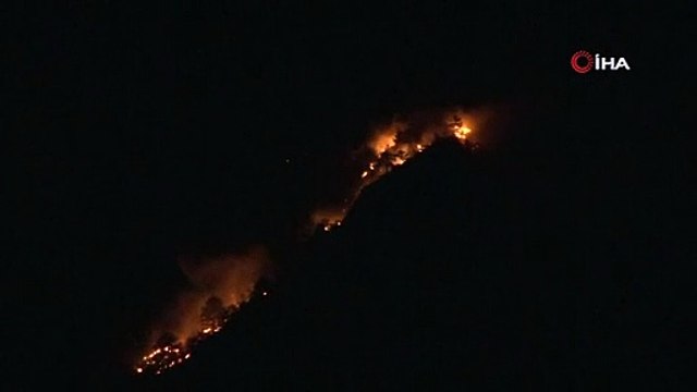 Yangın söndürme uçağının düştüğü ormanlık alanda alevler yeniden yükseldi