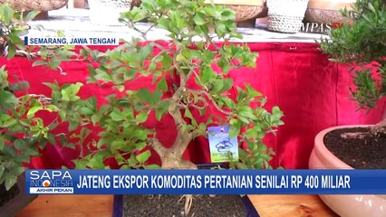 下载视频: Jawa Tengah Ekspor Komoditas Pertanian Senilai Rp 400 Miliar