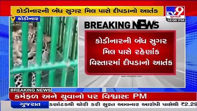 Gir-Somnath_ 2 leopards trapped in cage in past 2 days from a residential area of Kodinar _ TV9News