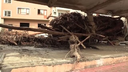 Скачать видео: KASTAMONU - Sel felaketinin yaşandığı Bozkurt'ta arama kurtarma ekipleri hayvanlara da yardım eli uzatıyor