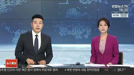 북한매체, 한미훈련 비난…"南평화타령, 말장난"