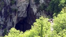 El paraíso subterráneo que descubrió los primeros animales cavernícolas