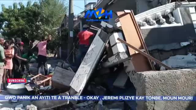 El terremoto en Haití deja por el momento más de 300 muertos y cuantiosos daños materiales