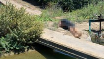 Sulama kanalında 15 yaşında bir çocuğun cansız bedeni bulundu