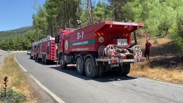 KAHRAMANMARAŞ - Ormanlık alanda çıkan yangın söndürüldü