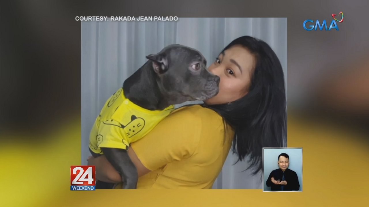 Tunay na man's best friend ang aso para sa isang OFW sa Laos, na pauwi na sana ng Pilipinas sa tulong ng gobyerno. Kaya ngayon, ginagawa niya ang lahat para sa kanyang pagbabalik-bansa ay maisama niya ang kanyang fur baby | 24 Oras Weekend