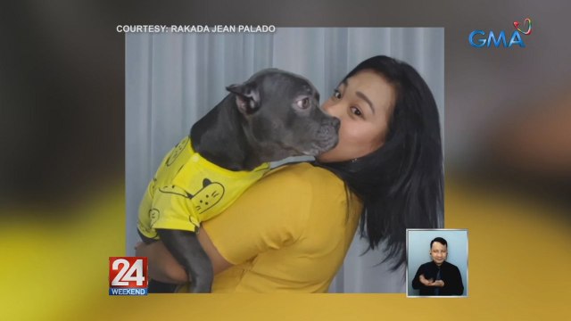 Tunay na man's best friend ang aso para sa isang OFW sa Laos, na pauwi na sana ng Pilipinas sa tulong ng gobyerno. Kaya ngayon, ginagawa niya ang lahat para sa kanyang pagbabalik-bansa ay maisama niya ang kanyang fur baby | 24 Oras Weekend