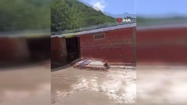 Selde mahsur kalan hayvanları helikopter yardımıyla kurtarıldı