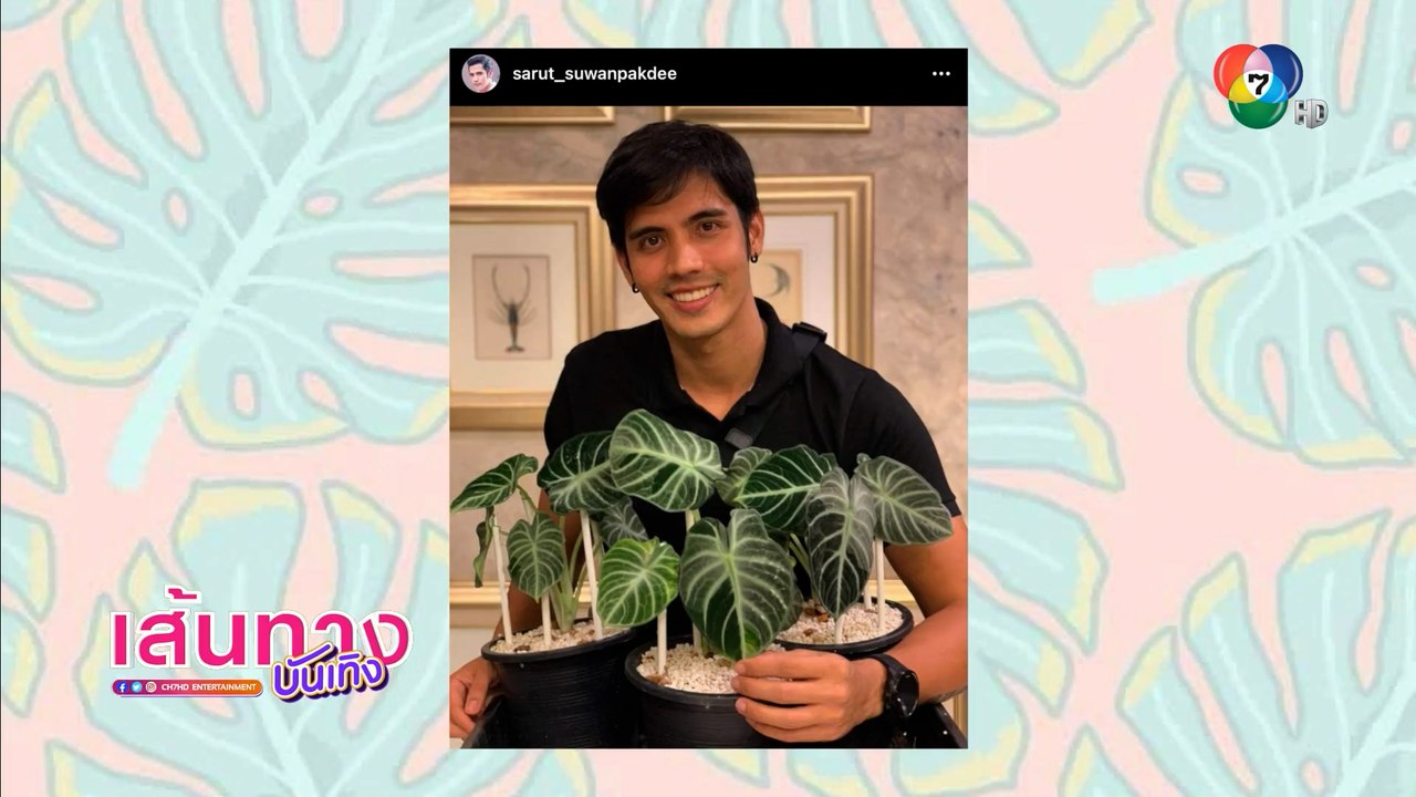 จอม ศรุต แนะเคล็ดลับการปลูกและการดูแลต้นไม้