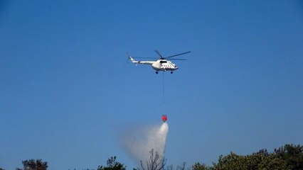 Son dakika haberleri | Tavaklı'da 10 günde çıkan 7'nci yangın kontrol altına alındı