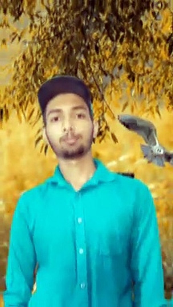 ⁣Instagram Trending Reels | Mohd Rizwan Khan