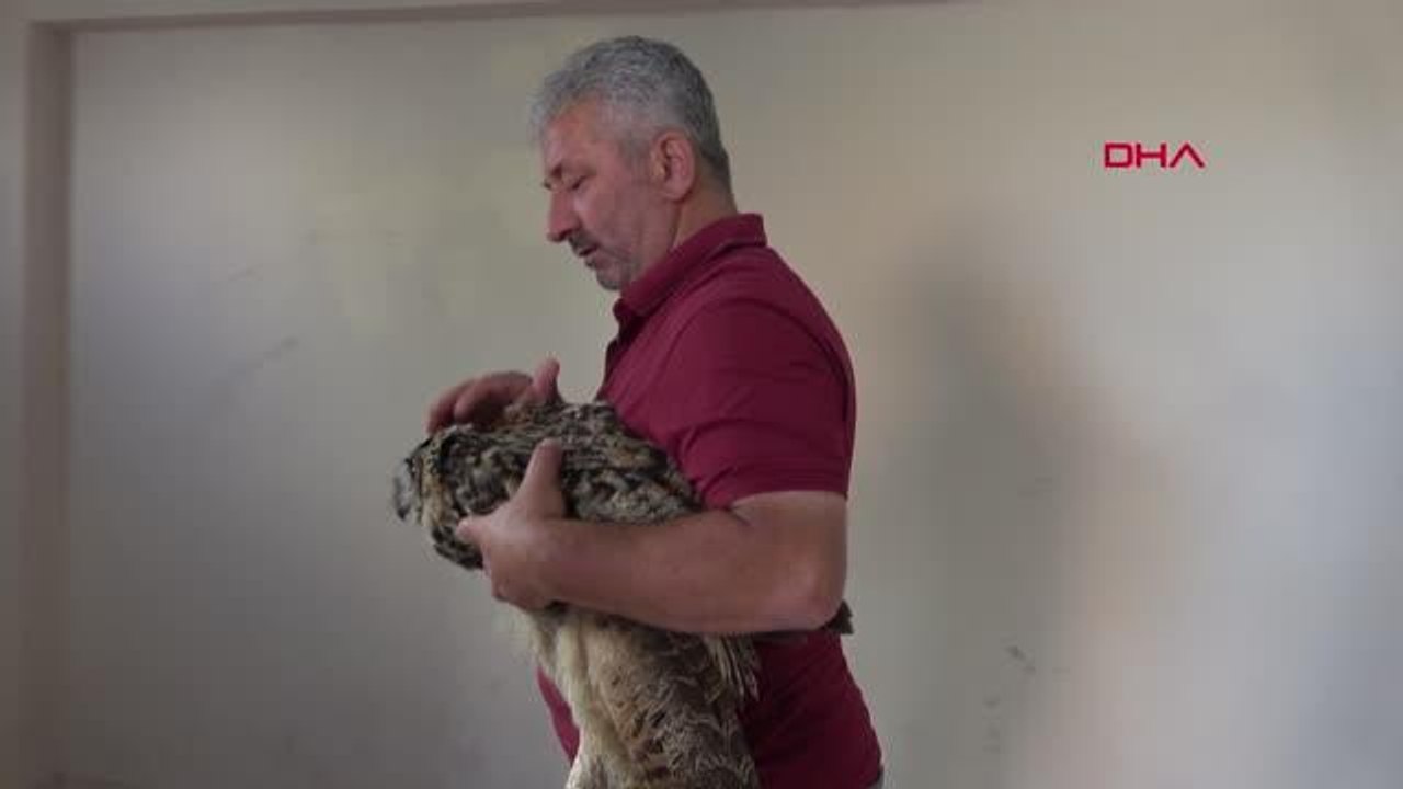 BİTKİN HALDE BULDUĞU PUHUYU BELEDİYE EKİPLERİNE TESLİM ETTİ