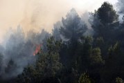 Batı Kudüs yakınındaki ormanlık alanda çıkan yangın kontrol altına alınmaya çalışılıyor