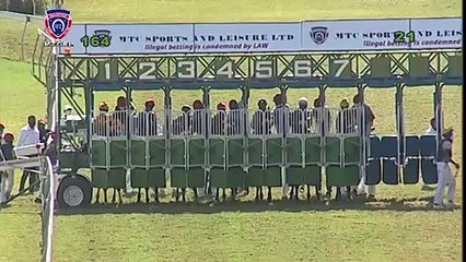 RM16 R4 | Sea Dance | A.Sonaram