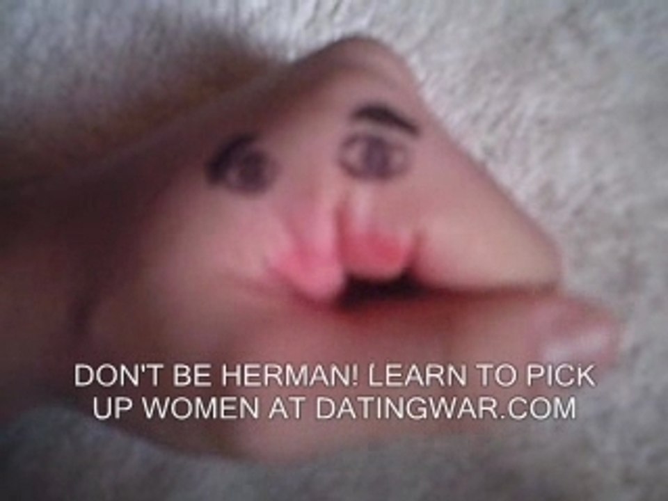 The Pick Up Artist Herman: Cheesy Pickup Lines