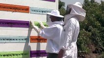 This robotic bee hive protects bees