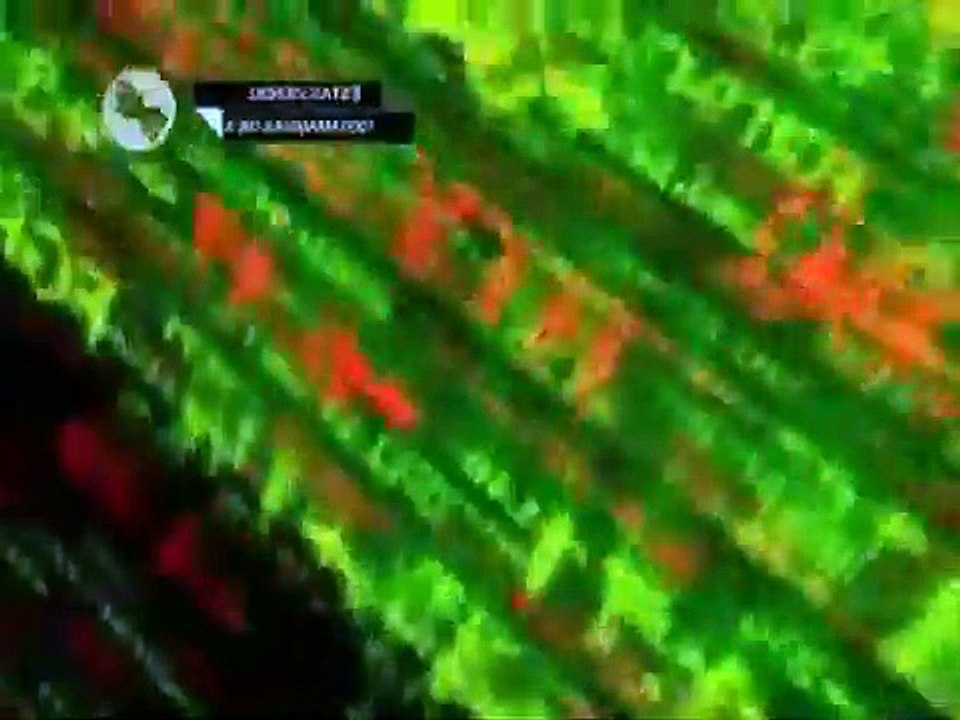 Mil maneras de morir MUERTE RAPIDA