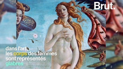 Une vie : les poils