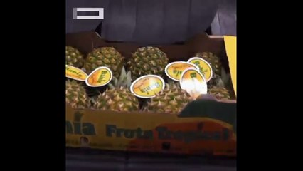 Control de fronteras en España Aduana