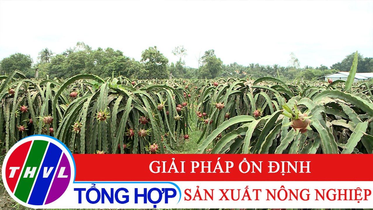 Nông nghiệp bền vững: Giải pháp ổn định sản xuất nông nghiệp