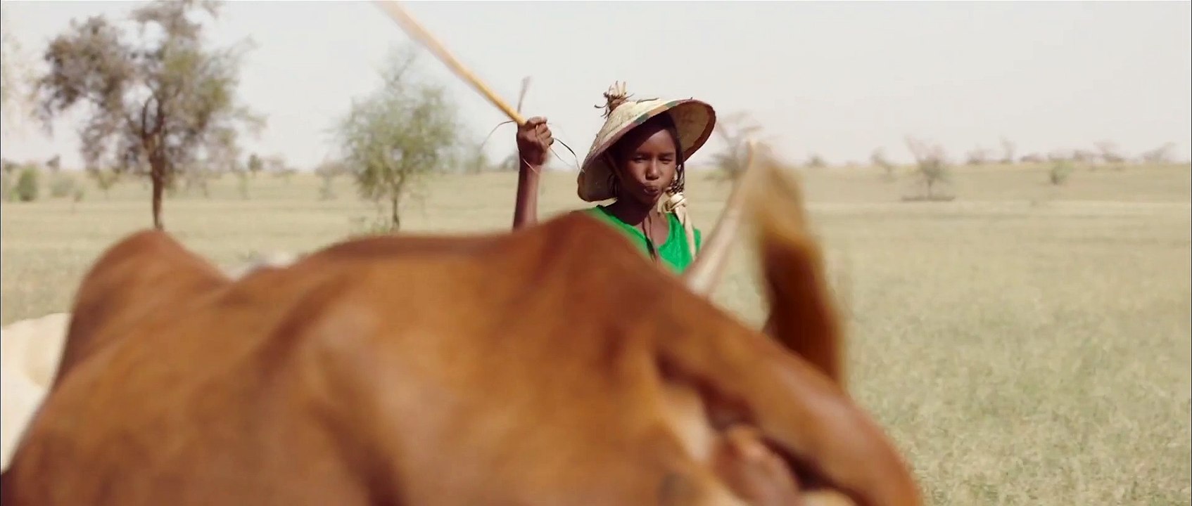 ASTEL Movie Clip