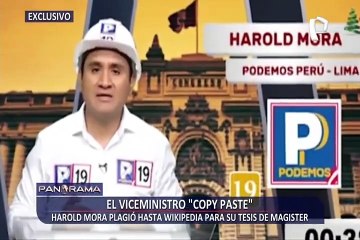 ¡Exclusivo! El viceministro “Copy paste”: Mora plagió hasta Wikipedia para su tesis de Magister