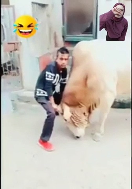 جزار سنه صغير بس عيل فاجر و قلبه ميت